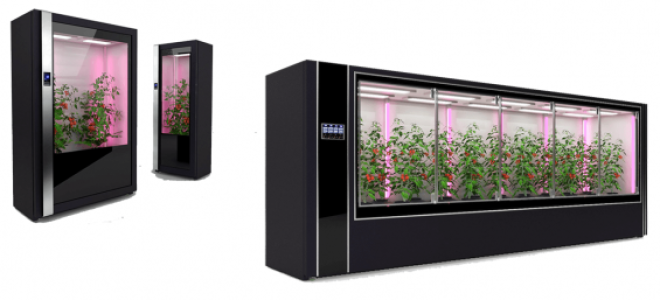 ICO Agrotechfarm: огляд, дати, відгуки