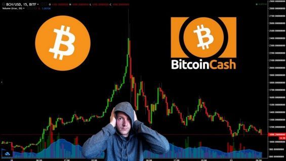 Хлопець на тлі графіка, що позначає памп Bitcoin Cash