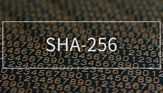 Напис SHA-256 на тлі коду