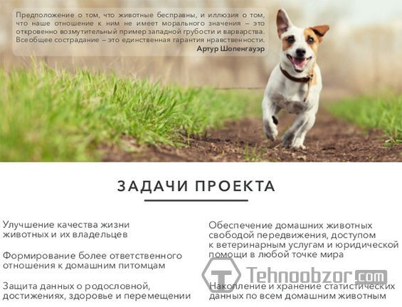 ICO проект KeepPet для тварин